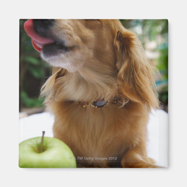 Imán Singapur 5 (Frente)