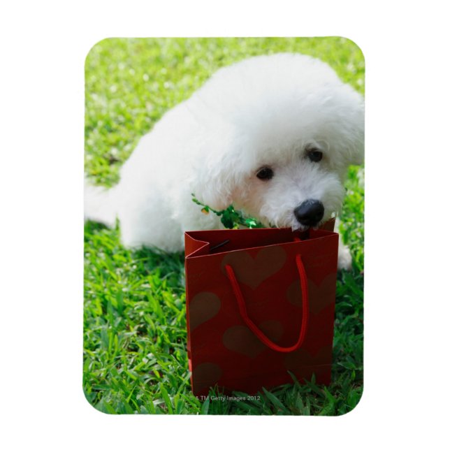 Imán Singapur 7 (Vertical)