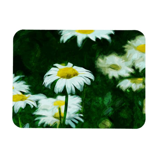 Imán Sinopsis de Oxeye White Daisies (Horizontal)