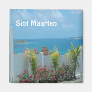 Imán Sint Maarten - Parque marino azul del océano St. M