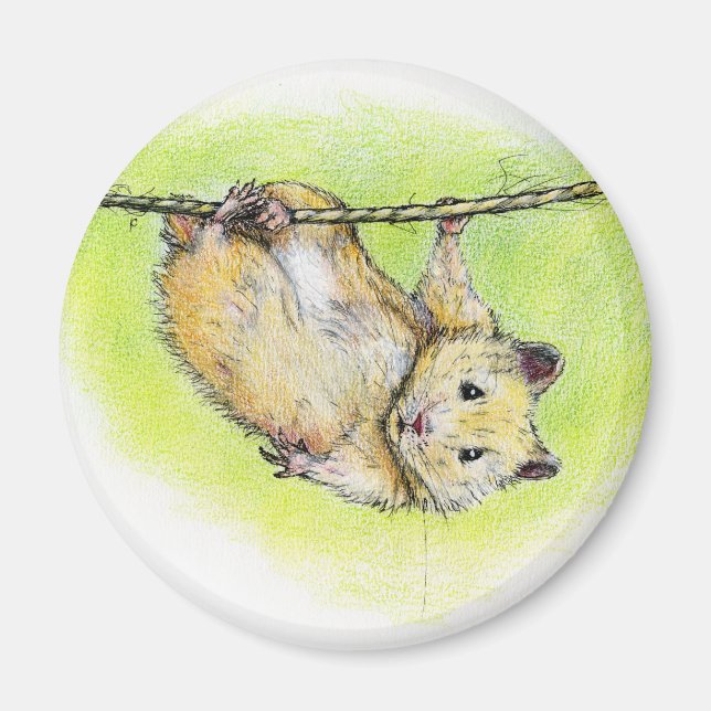 Imán Sir Ham (Frente)