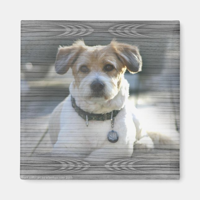 Imán Sir Henry (Frente)