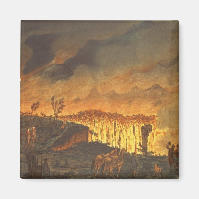 Imán Sir William Hamilton mostrando a Fernando IV (Frente)