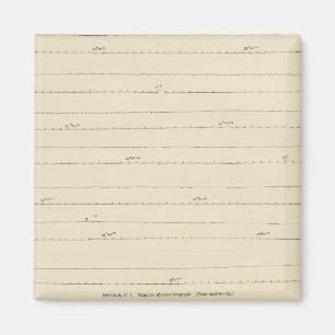 Imán Sismogramas de California 4