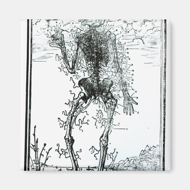 Imán Sistema vascular del cuerpo (Frente)