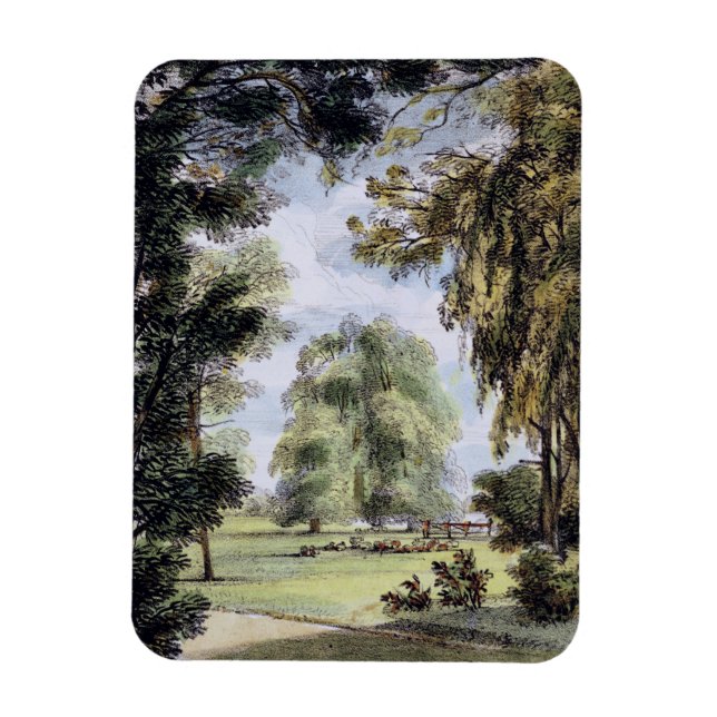 Imán Sister Trees, Kew Gardens, plato 8 de 'Kew G (Vertical)