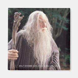 Imán Situación de GANDALF™