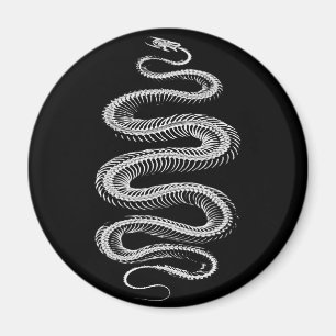 Imán Skeleton de serpiente deslizante