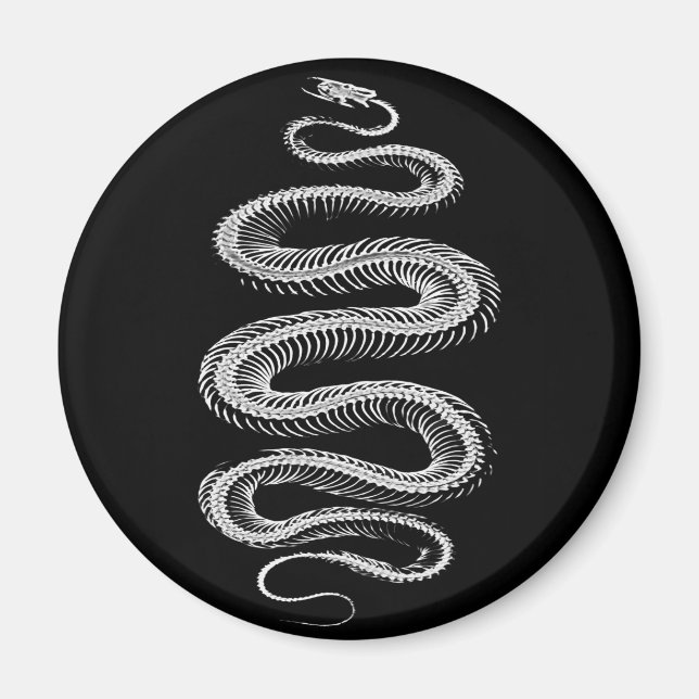 Imán Skeleton de serpiente deslizante (Frente)