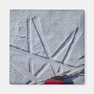 Imán Ski Star Magnet