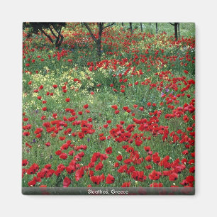 Imán Skiathos, Grecia