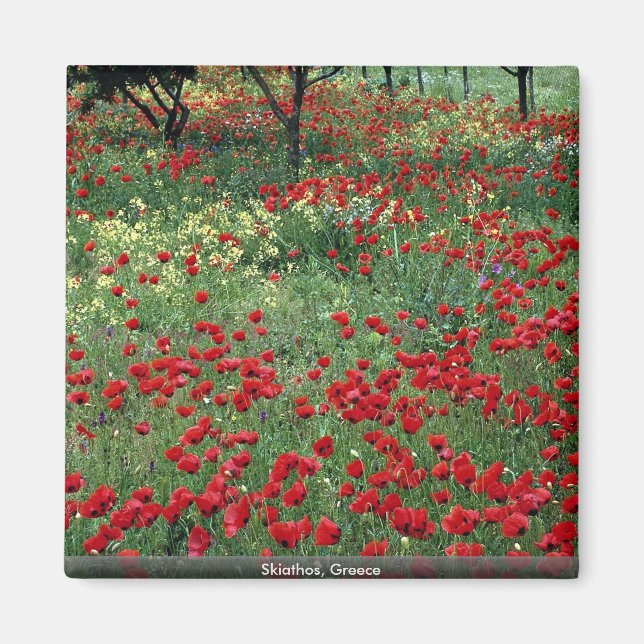 Imán Skiathos, Grecia (Frente)