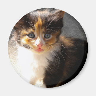 Imán Skittles Magnet