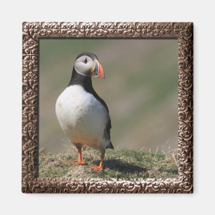 Imán Skomer Island Puffins