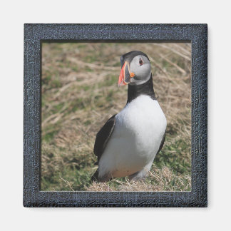 Imán Skomer Island Puffins