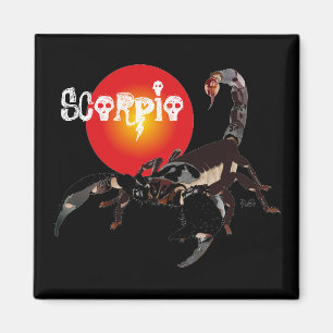 Imán Skorpion Magnet