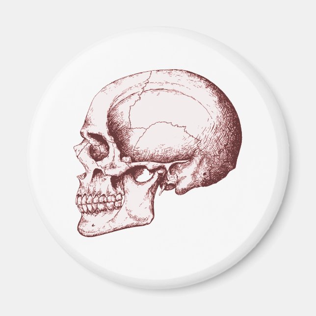 Imán Skull Sid eRed (Frente)