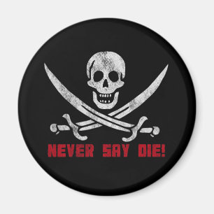 Imán Skull y Crossbone