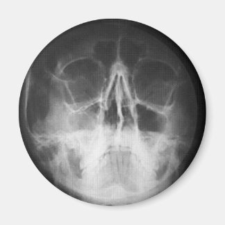 Imán Skully Top Fun