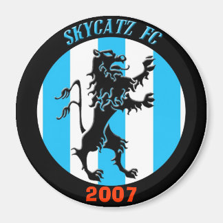 Imán Skycatz 2007 Magnet