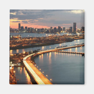 Imán Skyline de Miami