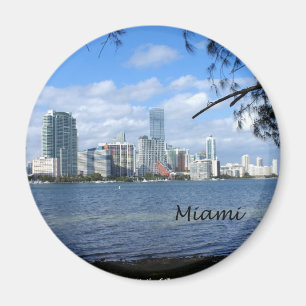 Imán Skyline de Miami