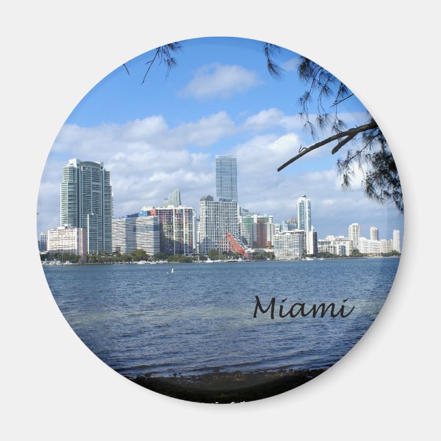 Imán Skyline de Miami (Frente)