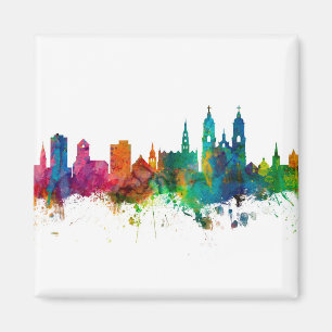 Imán Skyline de St Gallen Suiza