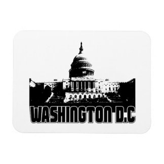 Imán Skyline de Washington DC
