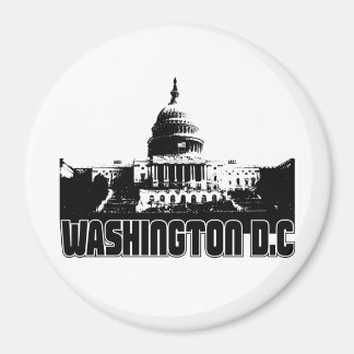 Imán Skyline de Washington DC