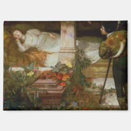 Imán Sleeping Beauty (Pretty Princess Meets Her Prince)