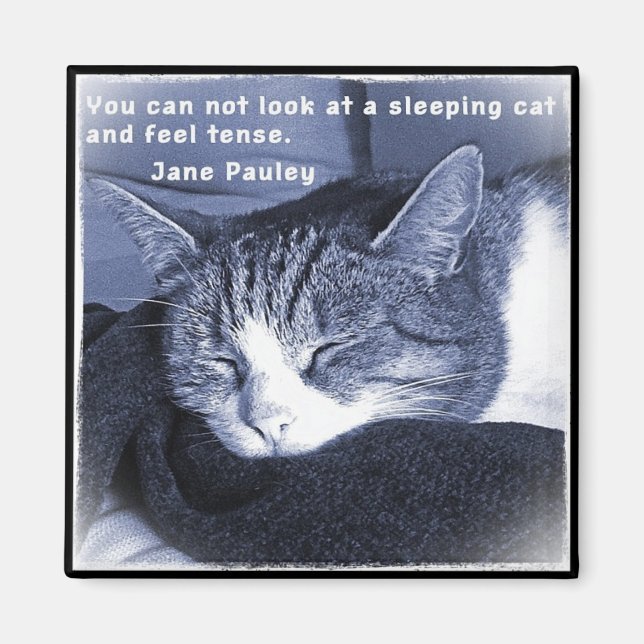 Imán Sleeping cat (Frente)