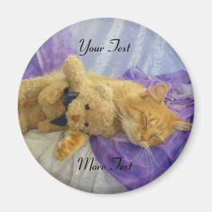 Imán Sleeping Kitty Magnet