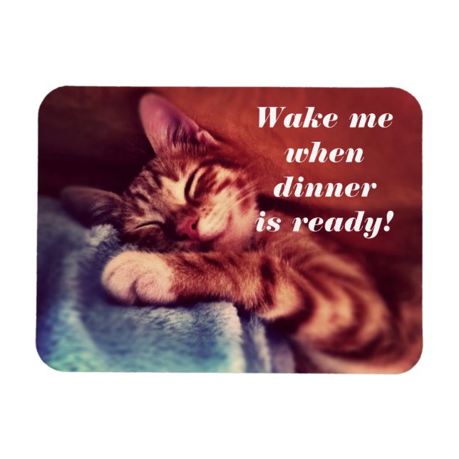 Imán Sleepy Kitten Magent (Horizontal)