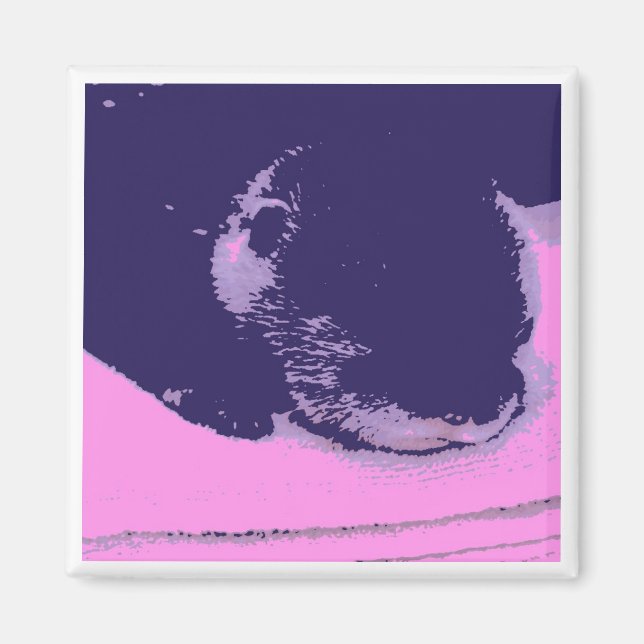 Imán Sleepy Otter (Frente)