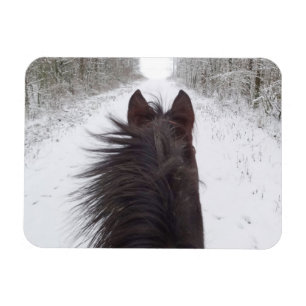 Imán Sleigh View of Black Horse (Caballo negro), árbol