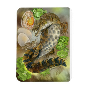 Imán Slender Snoued Crocodile