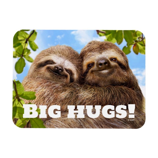 Imán Sloth Couple (Horizontal)