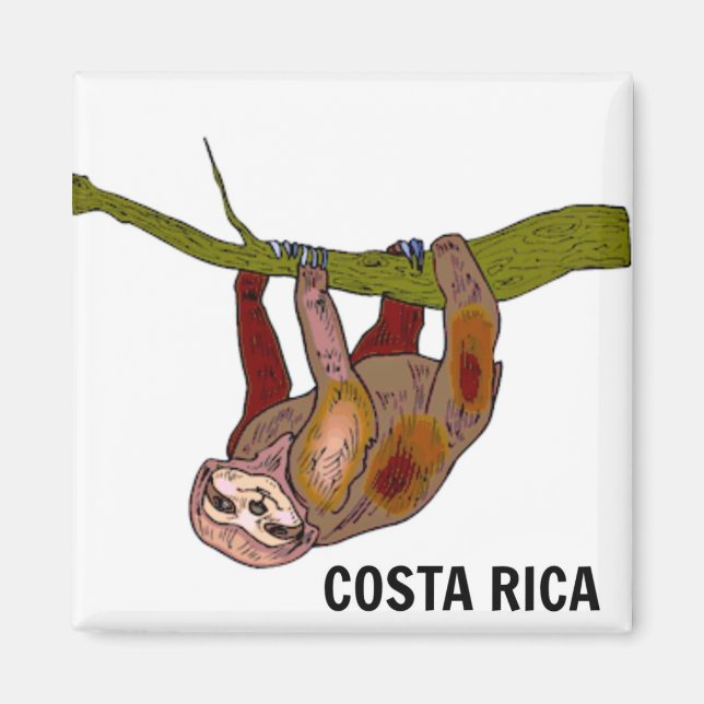 Imán Sloth de Costa Rica (Frente)