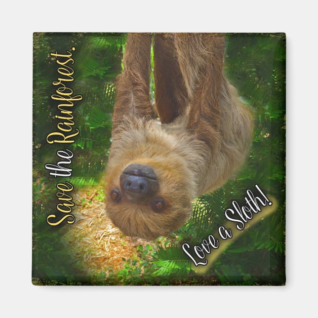 Imán Sloth Magnet (Frente)