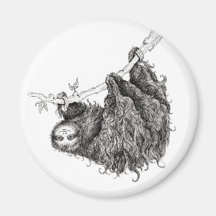 Imán slothy