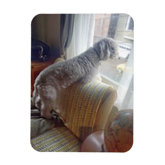 Imán Smokey (Vertical)