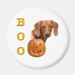 Imán Smooth Dachshund Boo - Magnet