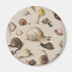 Imán Snail Slug Garden Mascota Gastropod Snails Botanic