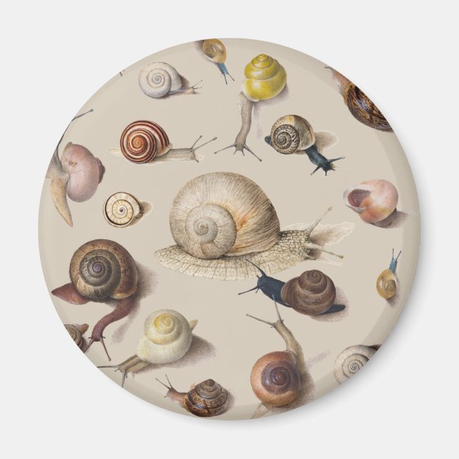 Imán Snail Slug Garden Mascota Gastropod Snails Botanic (Frente)