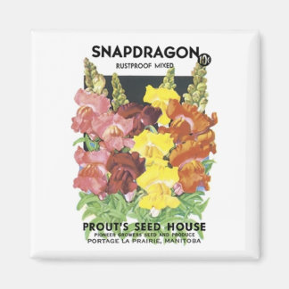 Imán Snapdragon, mezcla impermeable, casa de semillas d