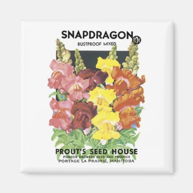 Imán Snapdragon, mezcla impermeable, casa de semillas d (Frente)
