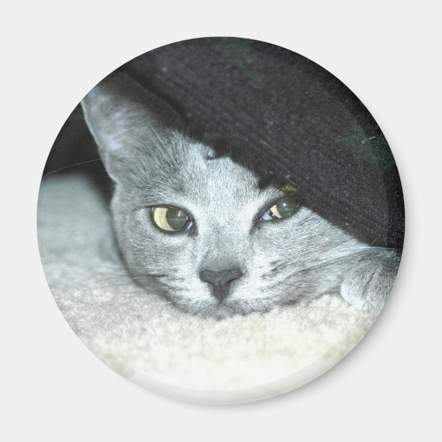 Imán Sneaky Karma (Frente)