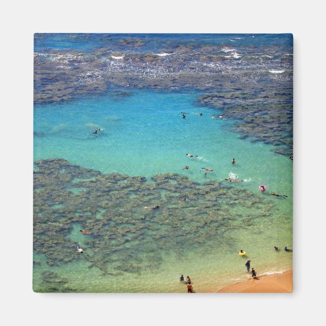 Imán Snorklers en la bahía de Hanauma, Oahu, Hawaii (Frente)