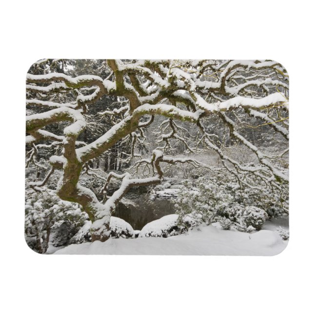 Imán Snow-covered Japanese maple (Horizontal)